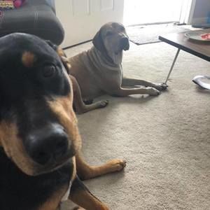 Meet your Posher, Jonathan